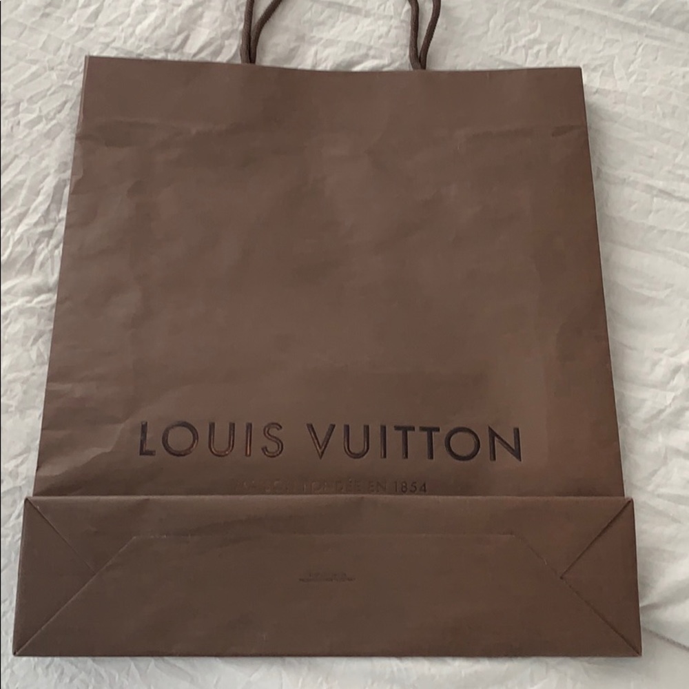 Louis Vuitton shopping bag